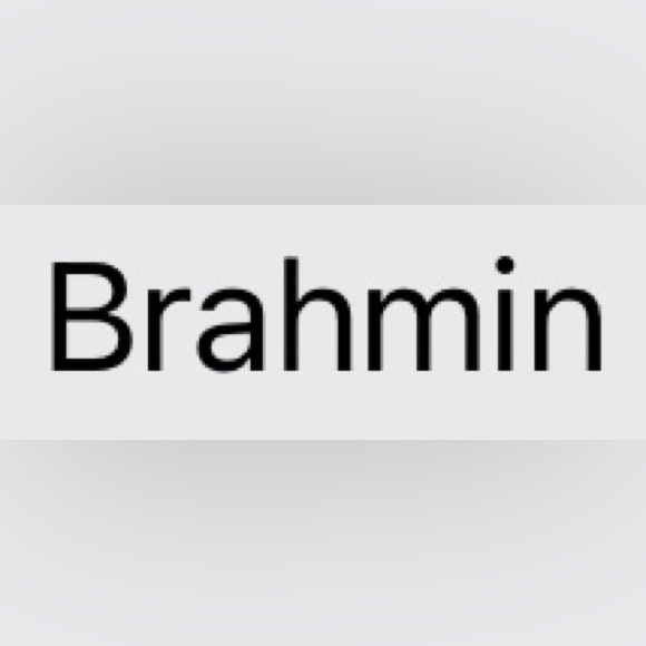 Brahmin - Picture 1 of 1